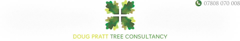 Doug Pratt Tree Consultancy