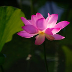 Лото Аэроклуб Loto Club Регистрация Диалоговый Loto Club 37